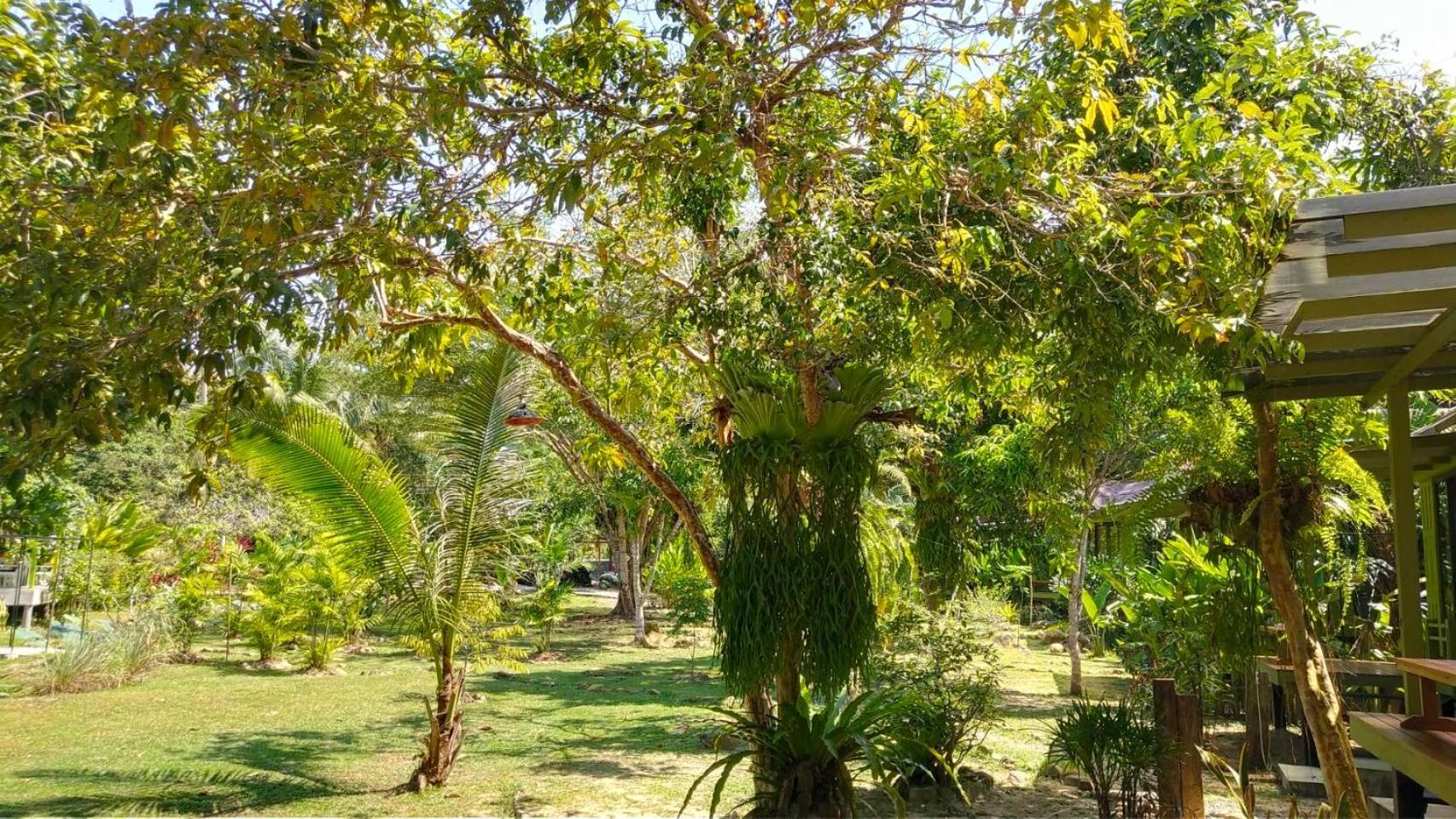 Baan Bua Cottage Sha Extra Plus B5510 Ko Kut Εξωτερικό φωτογραφία